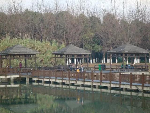 昆山花桥有几个公园,昆山市花桥区哪个公园好玩