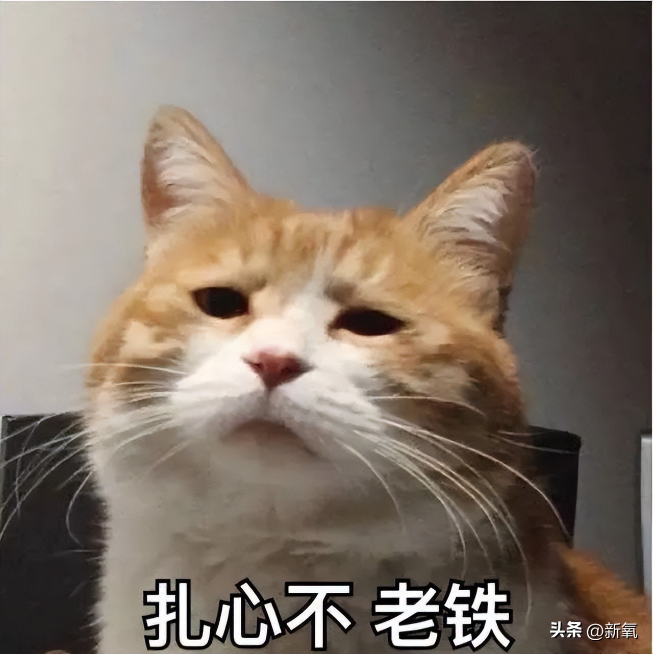 牙齿正畸和骨骼正畸的区别,牙齿正畸和眼轴增长有关系吗