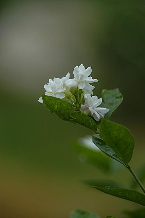 散文内心深处的孤独,散文放松心灵的美好时光