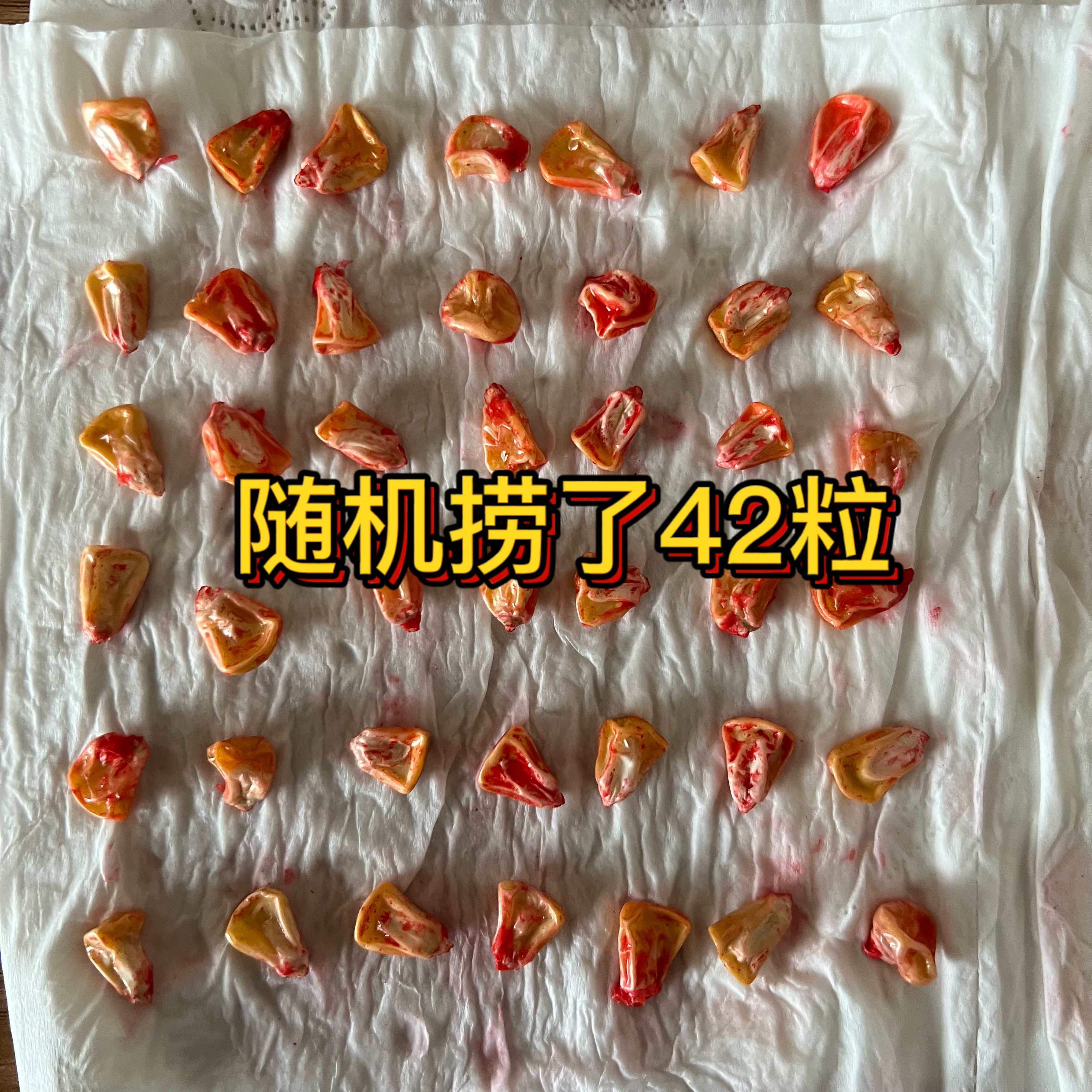 春播玉米种子什么品种好,春播糯玉米最好的品种