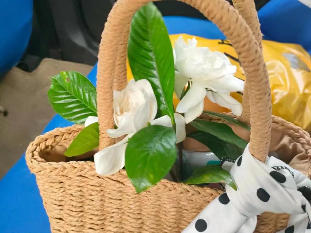 不爱上班的人能干什么副业,不想上班了想做点副业