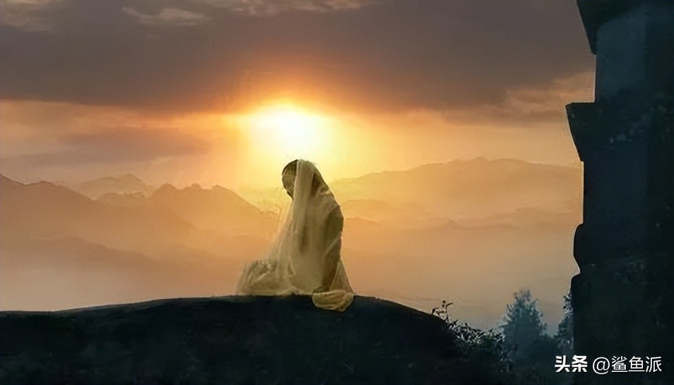 未来最赚钱的创业机会,鲨鱼哥自媒体创业心法