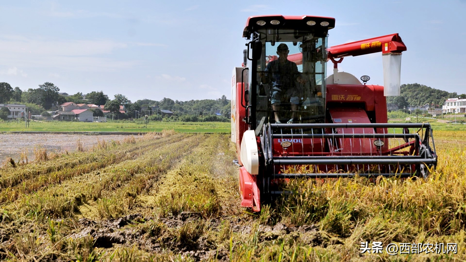 雷沃谷神领航rg70h金刚版,雷沃谷神超越版2018履带型