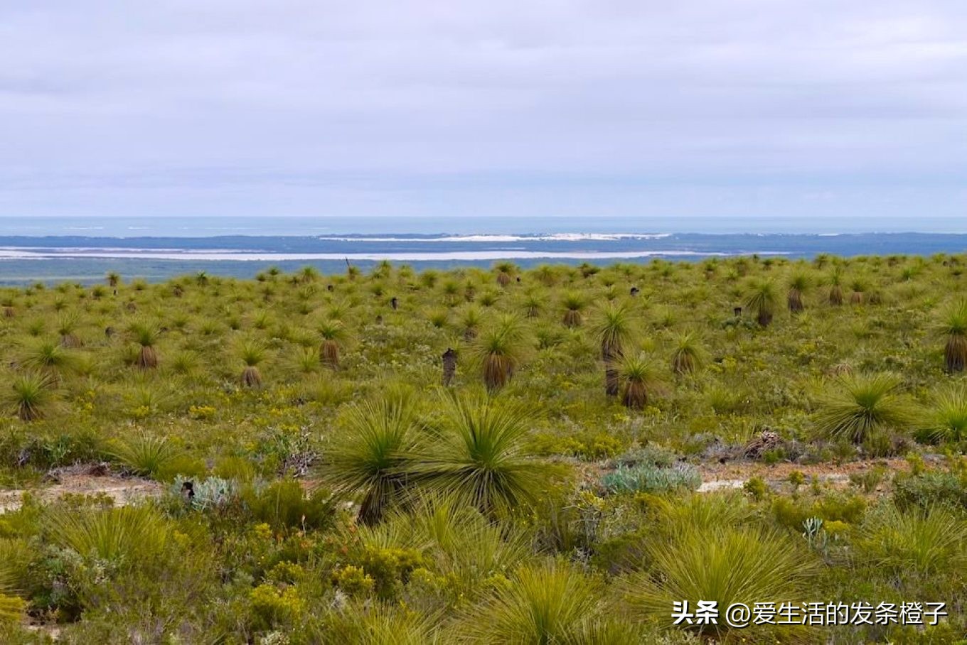 一路向北全程1980公里,西澳自驾游最佳路线图