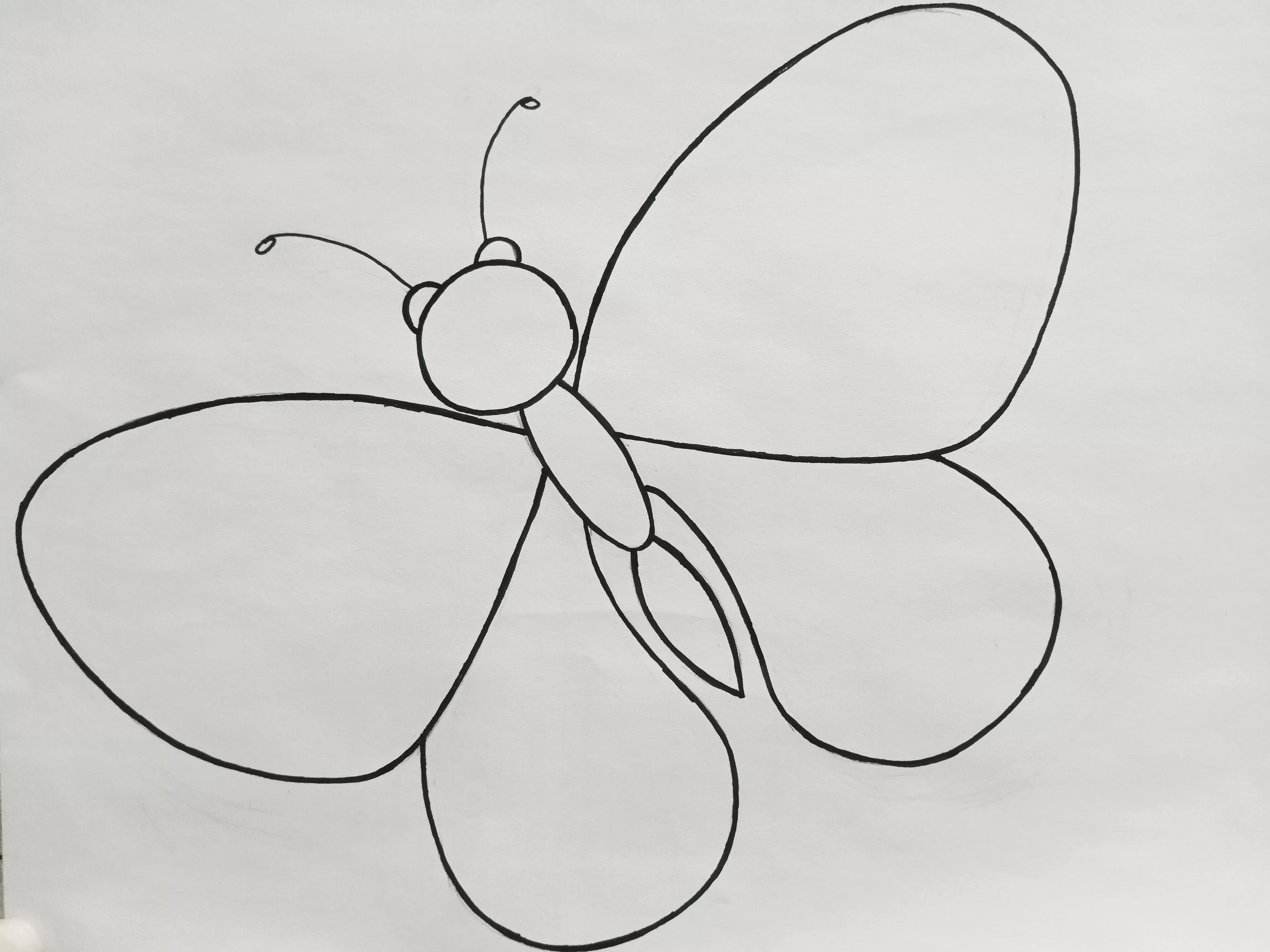 蝴蝶线描画绘画过程,绘画蝴蝶教程线描画