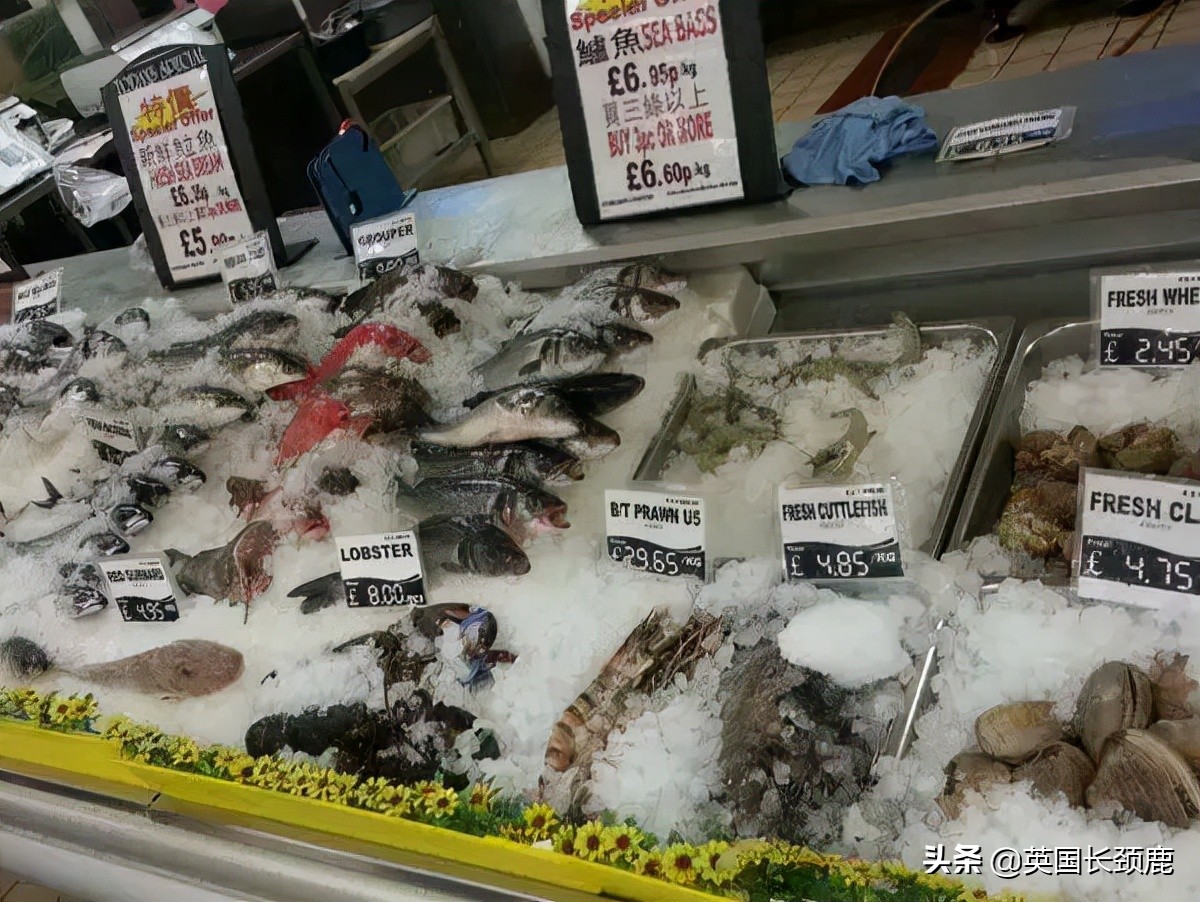 在英国怎么在网上买东西,英国海鲜刺身哪里买
