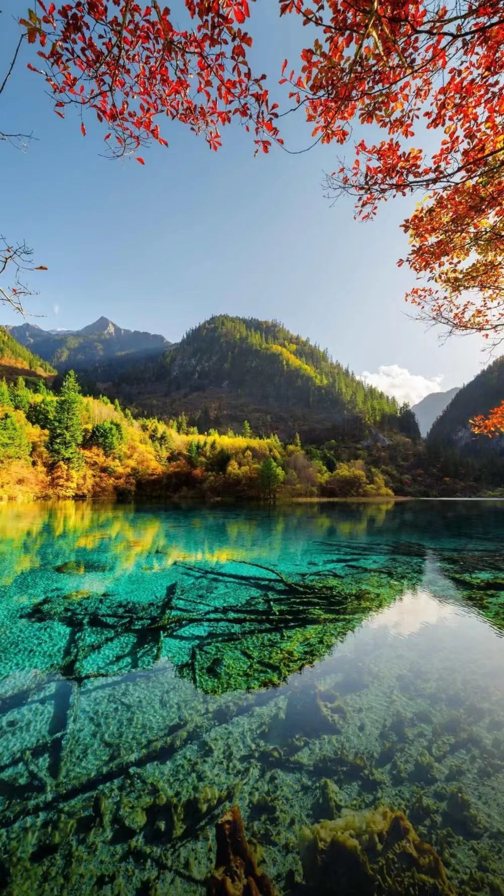 记录生活小碎片的文案,生活的零碎碎片文案