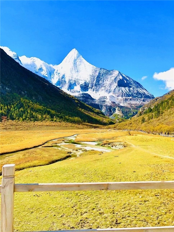 四川国旅第一分社,四川国旅成都高新第六分社地址