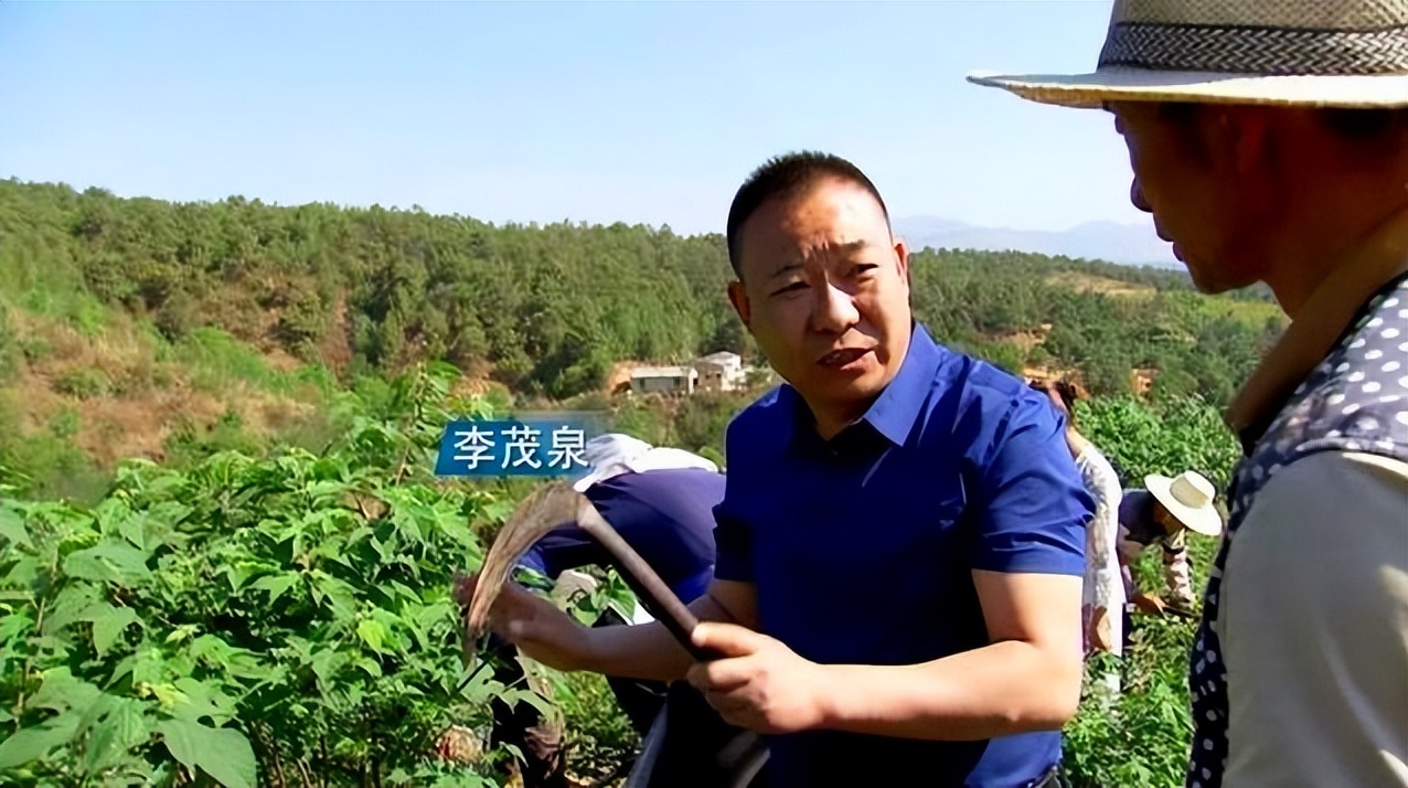 山西矿老板发现养殖商机种植构树,矿老板被骂