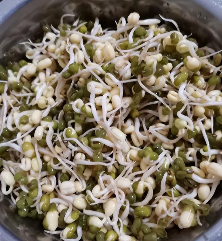 大航海时代败血症,大航海时代海员得什么病