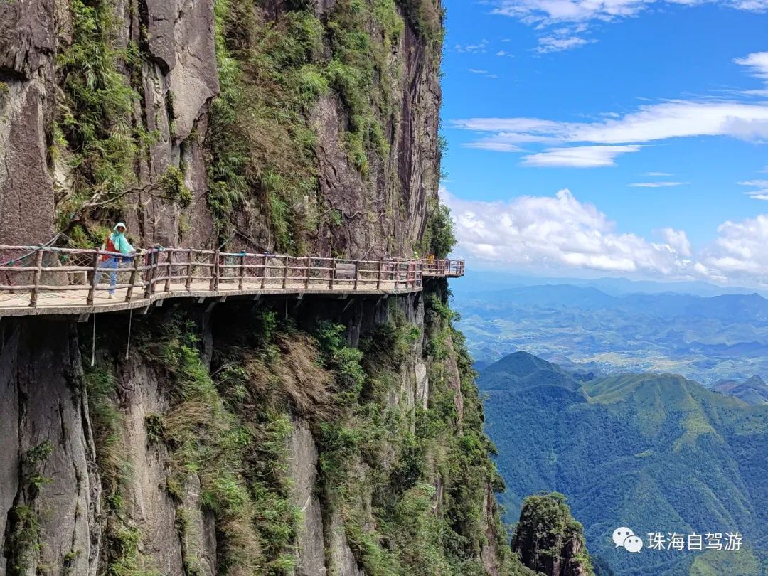 莽山五指峰景区,蟒山国家森林公园旅游攻略