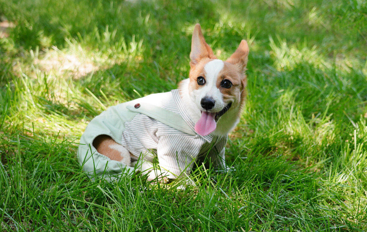 未来10年最吃香的五个行业,未来十年比较吃香的几个行业