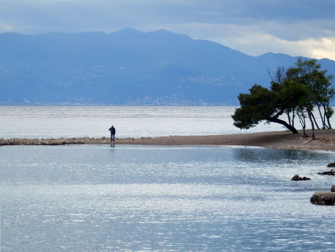 皮囊最深刻的7句话叫醒无数人,皮囊最经典的一句话在哪一页
