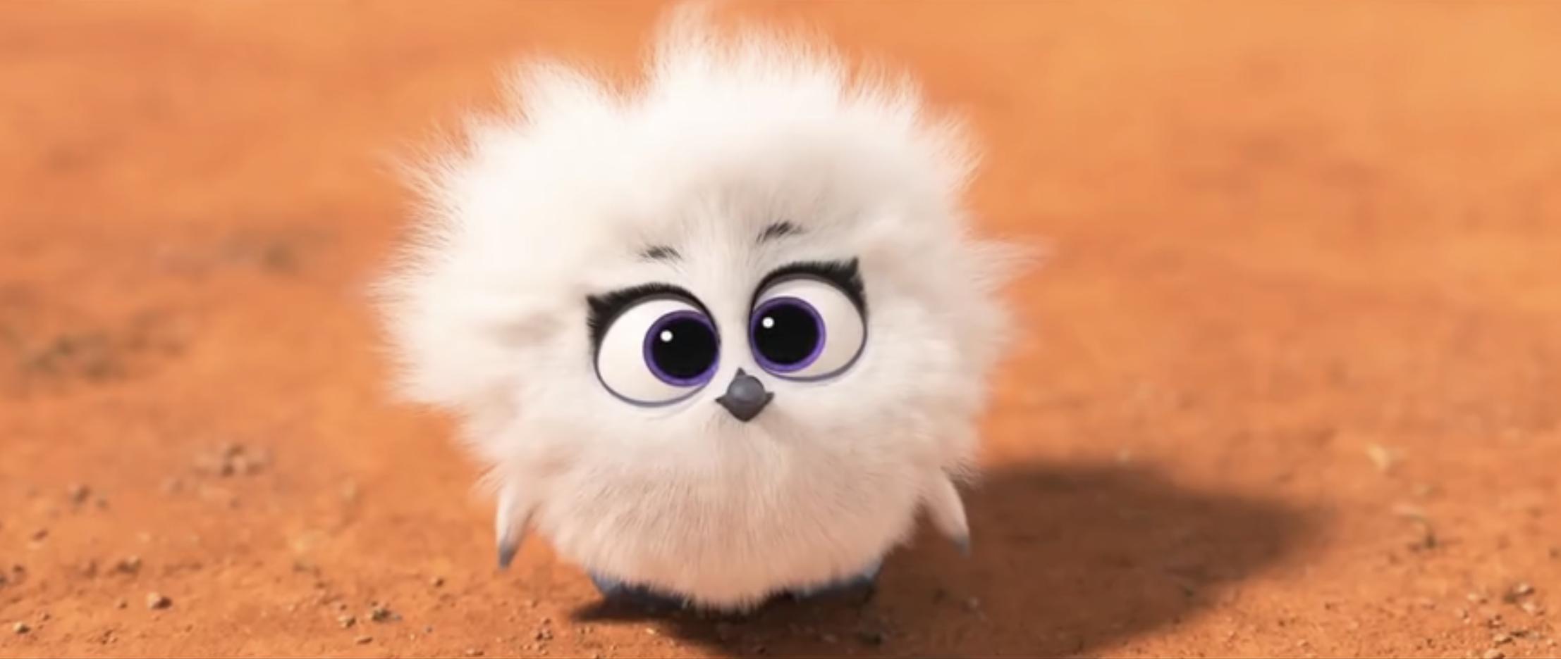 终于知道自己为什么总是睡不好了,关于整夜都睡不好觉这件事