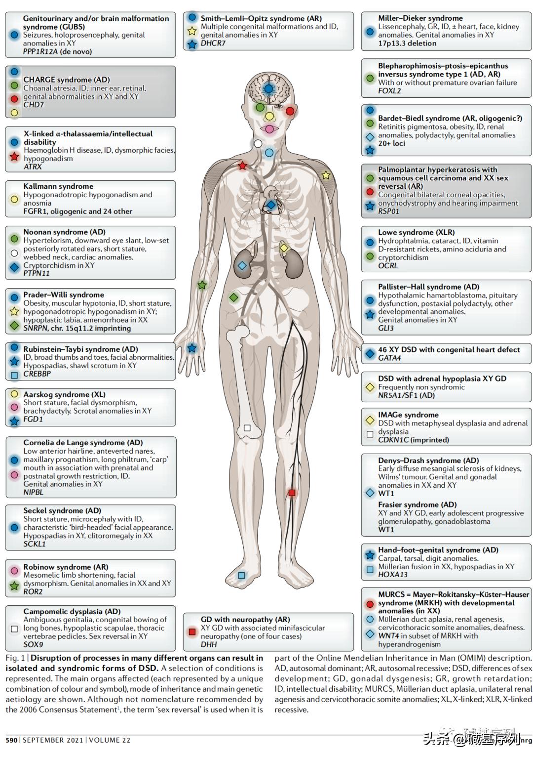 怀孕了第一胎宝宝会知道么,怀孕胎儿外貌什么时候确定