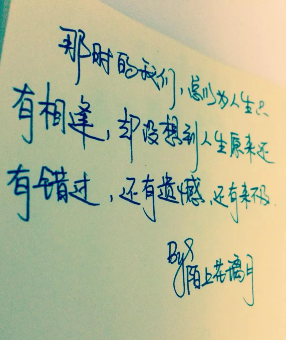 那纷纷扬扬的花瓣犹如万千飞碟，在蓝天下飞扬着翩跹的舞姿