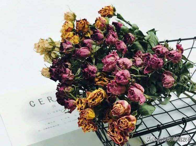 嵩明永生花店 (嵩明永生花)