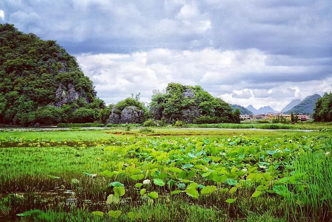 云南普者黑在哪个城市,云南普者黑最美的风景在哪里