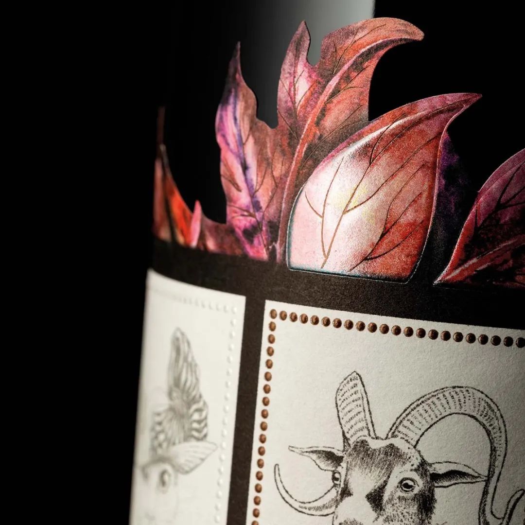 葡萄酒创意包装,红葡萄酒包装设计