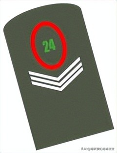 魏玛共和国旗是什么意思,德国军装军衔对照表