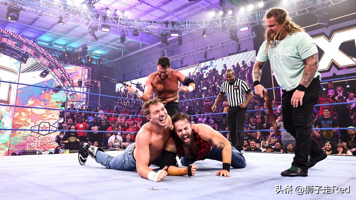 wwe第1163期完整版,wwenxt667期最新赛事