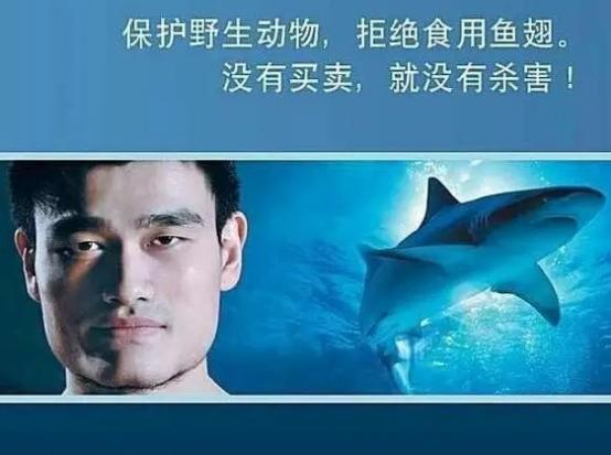 濮氭槑鍚冮波楸煎師瑙嗛,濮氭槑濡備綍淇濇姢椴ㄩ奔