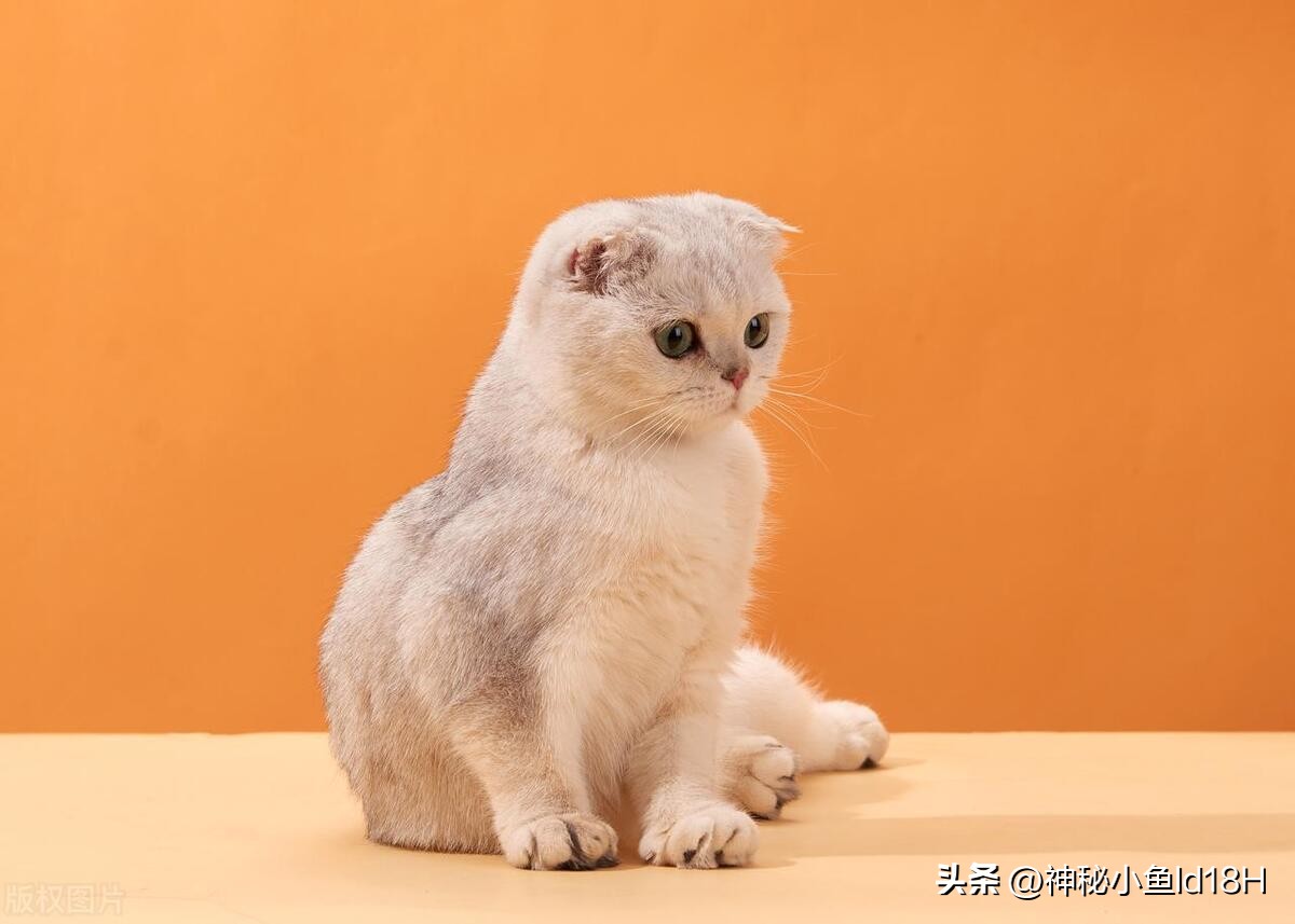 世界最有钱的人教你赚钱,全世界最会赚钱的人是怎么赚钱的