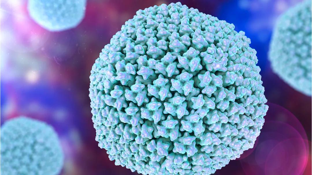 腺病毒防控要求,腺病毒科普知识视频