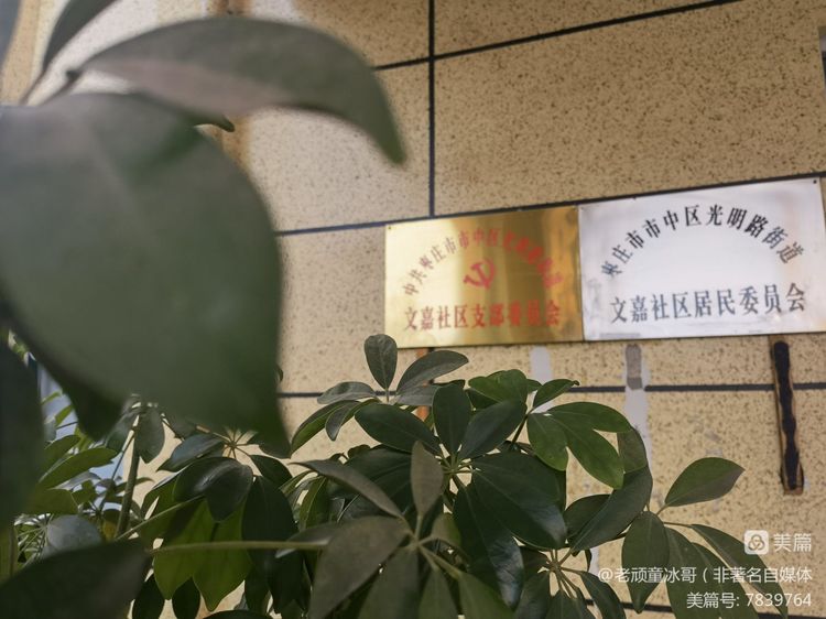 最美“逆行者”枣庄中安鸣翠苑抗疫志愿团