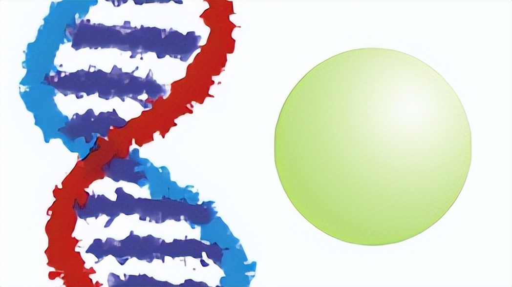 白头发越长越多是缺了两种营养,白头发增多是缺少什么营养素吗