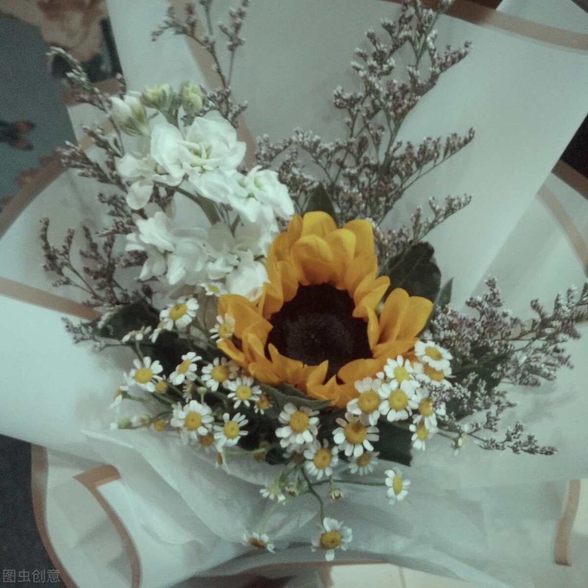 那些失去后才懂得珍惜的文案,拥有时不珍惜失去了才后悔的文案