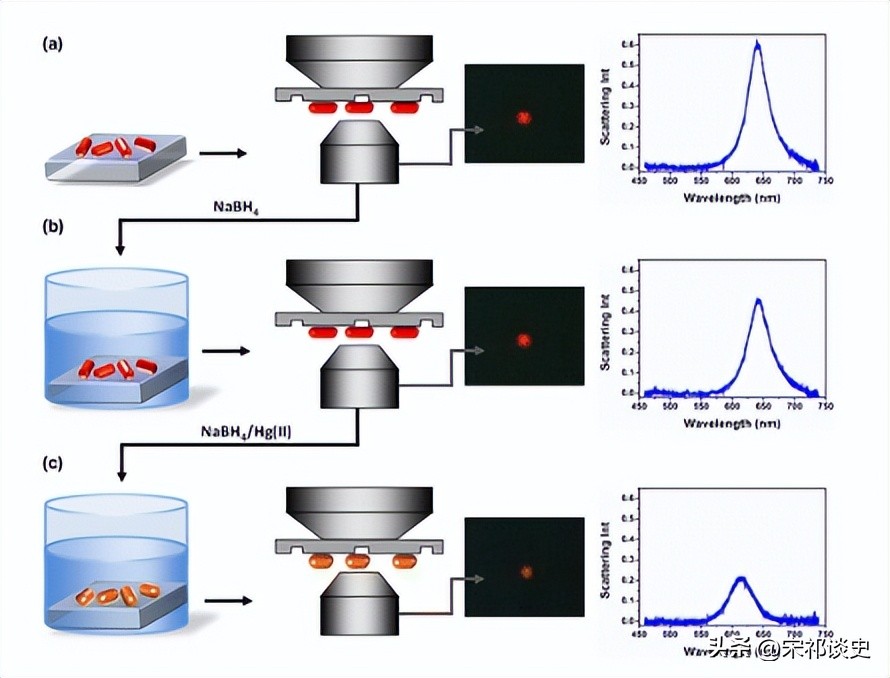 创新科技:基于固定化单金纳米棒的汞合金等离子体检测技术