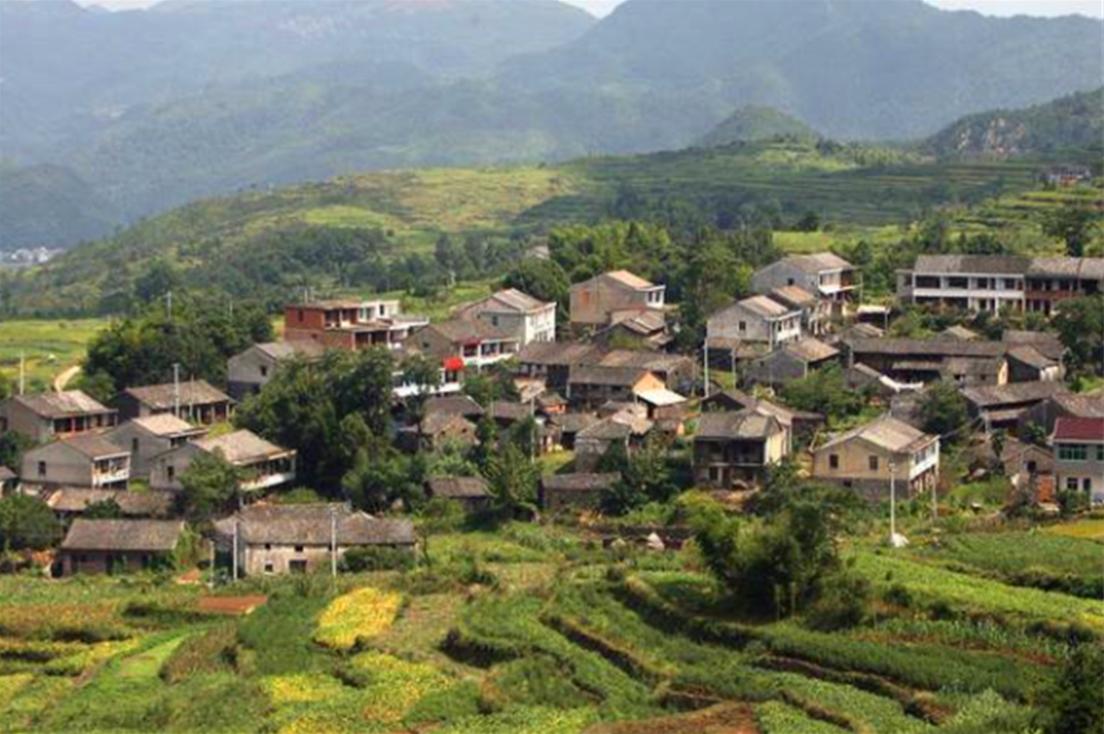 直播山东80后,山东80后直播