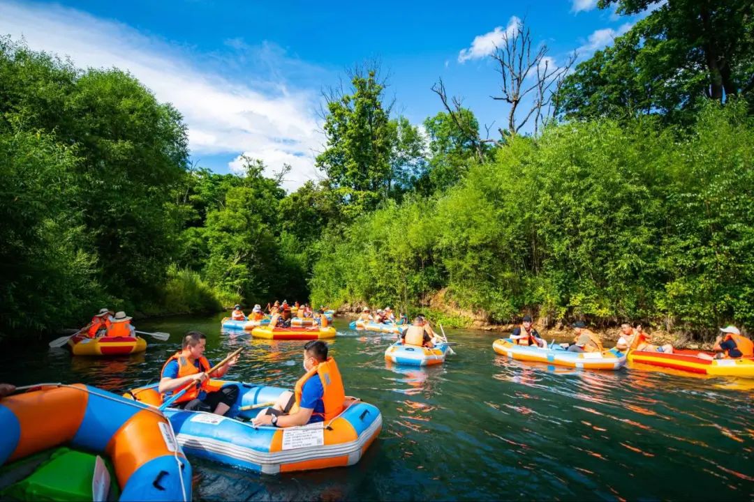 2023已过半文案,2023已过半