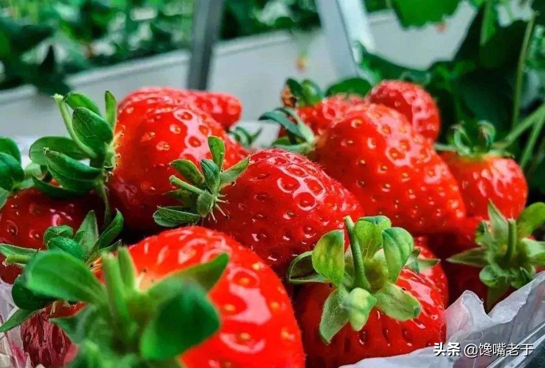 有哪些水果适合中老年人吃,现在适合老年人吃的水果零食