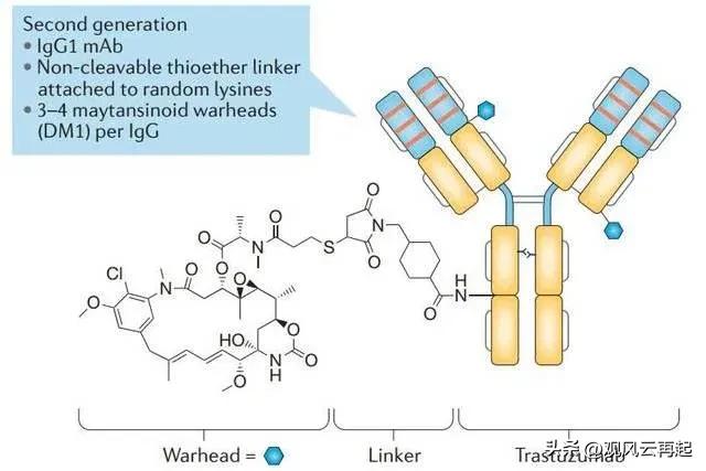 替尼和单抗有什么区别,替雷利珠单抗和阿帕替尼