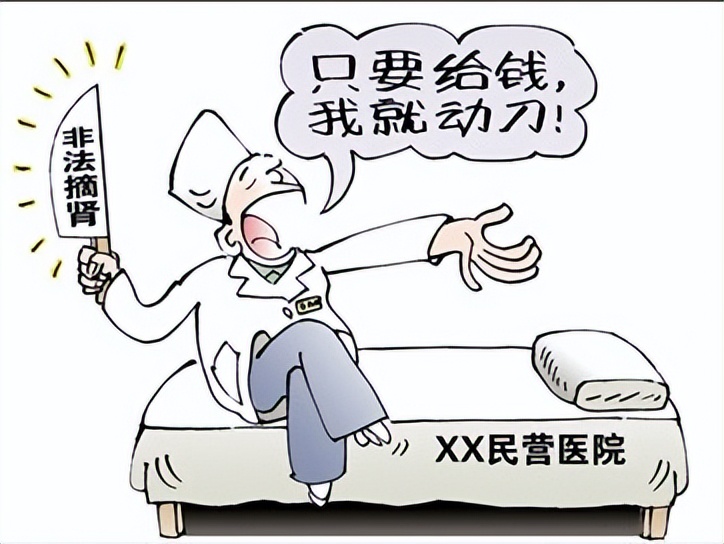 人兽真能杂交，日本批准“人兽杂交胚胎”实验，是福是祸？