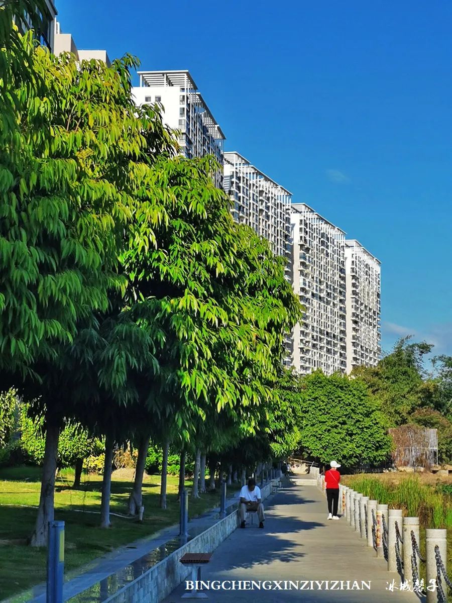 旅居海南,旅居式旅游生活海南