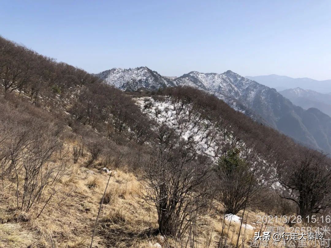 首阳山穿越大坪梁景色怎么样,大坪梁穿越到首阳山攻略
