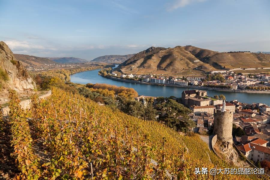 法国葡萄酒前十名,法国干红葡萄酒十大品牌