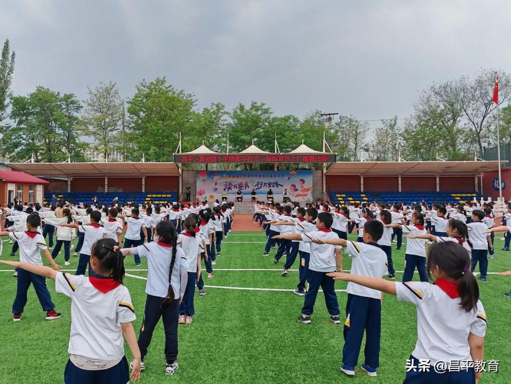 校园竞技体育的魅力,校园青春比赛