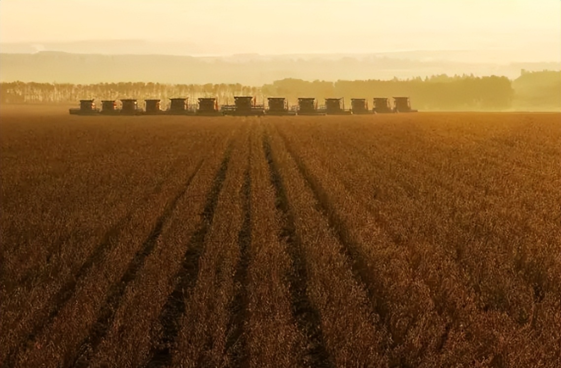 北大荒垦荒什么时候开始的,北大荒退耕还荒原因
