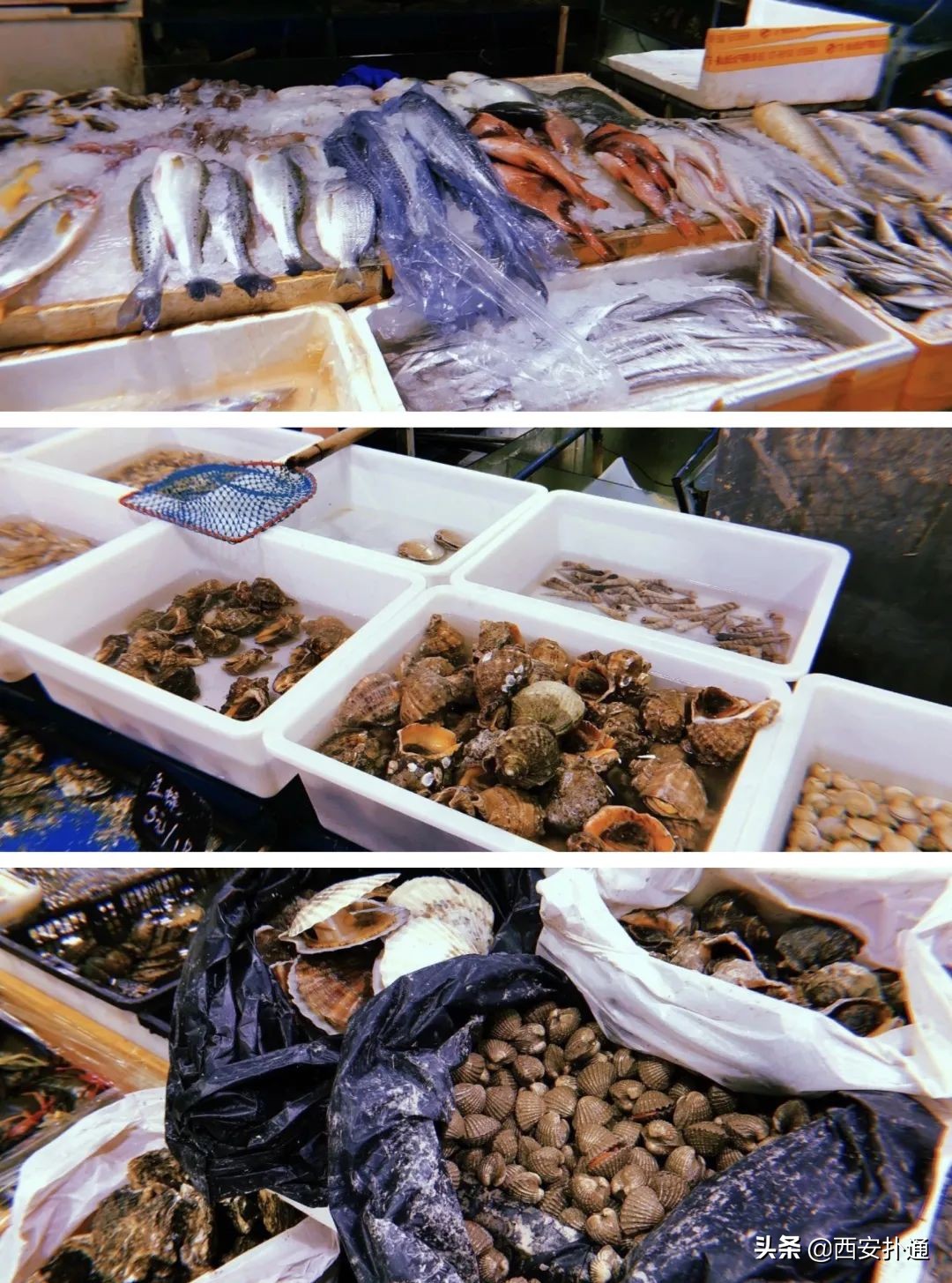 西安北郊最便宜菜市场在哪里,西安市全天人多的菜市场