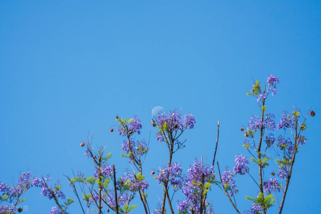 人际关系10条要领解读,人际关系注意事项