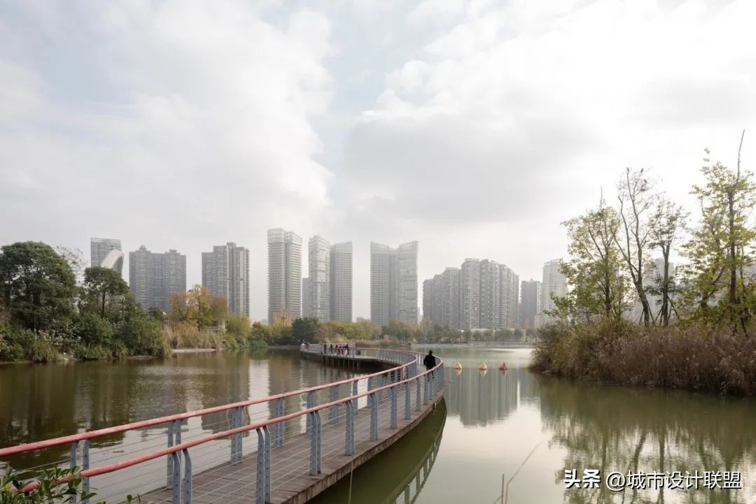 成都值得一游的公园,夏季成都宝藏公园