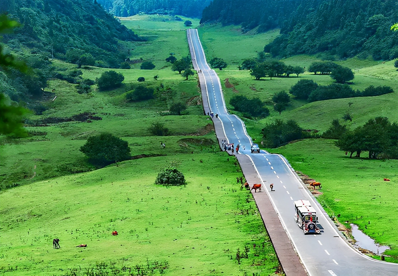 重庆在全国gdp增速排名,重庆人均gdp2023年全国排名第几