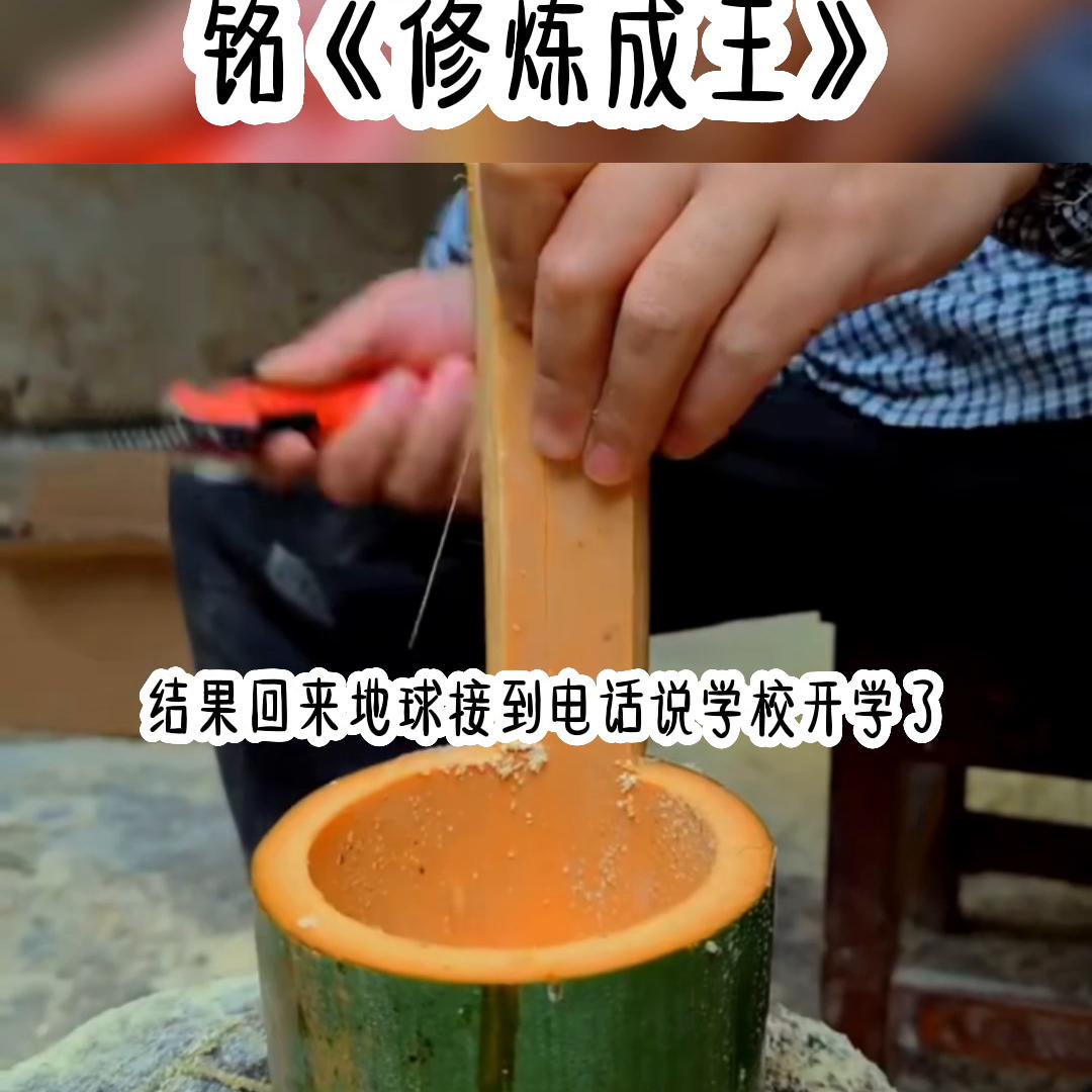 推文小说,推文小说完结文