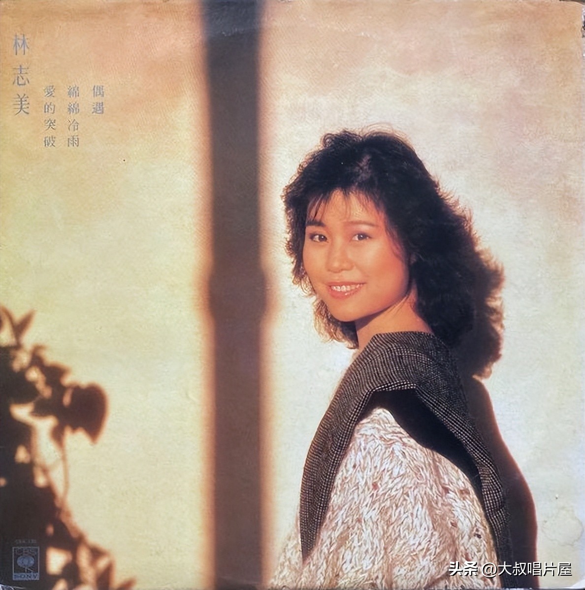 1984年香港十大唱片金曲,80年代香港歌手唱片封面