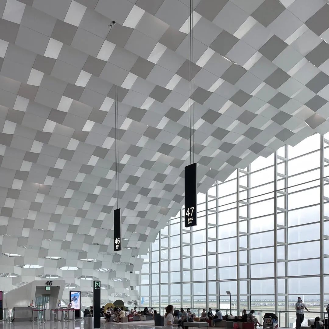 上海市白玉兰荣誉奖,上海白玉兰荣誉奖2020