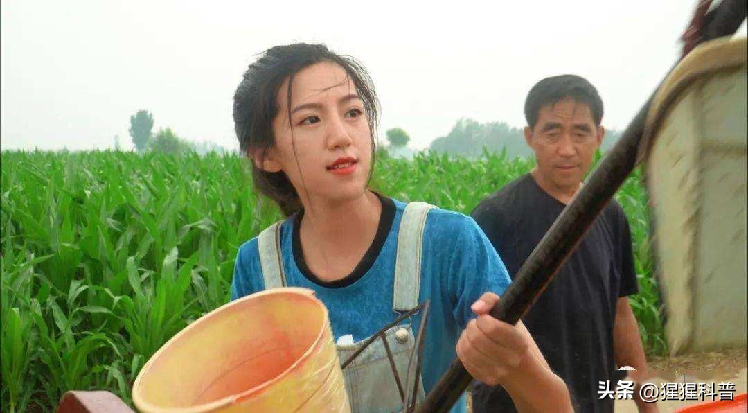 网红麦小登为啥排第二,麦小登网红排行榜